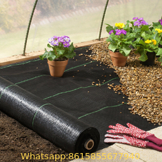Plastic cheap anti weed mat Woven polypropylene anti weed mat for agriculture