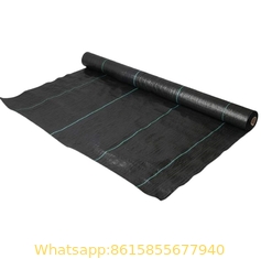 Factory Price Weed Control Fabric Anti Weed Mat to Stop Grass Growing