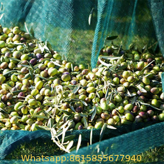 4X8m green hdpe mono Olive Net for harvest