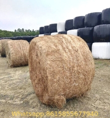 Round Bale Net Wrap with Easy Removal and UV Stability