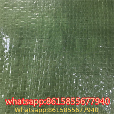 Garden Weed Barrier Landscape Fabric supplier in China