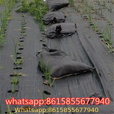 Landscape Fabric – Weed Barrier Cloth