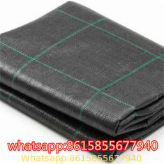 PP Ground Cover is also called anti grass cloth, weed control fabric, anti weed mat, weed barrier.