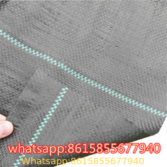 PP Ground Cover is also called anti grass cloth, weed control fabric, anti weed mat, weed barrier.