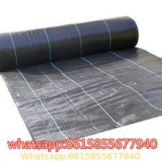 Black/Green/White PP/PE/Plastic Woven Geotextile/Ground Cover/Anti Weed Barrier/Control Mat for Agriculture/Garden/Lands