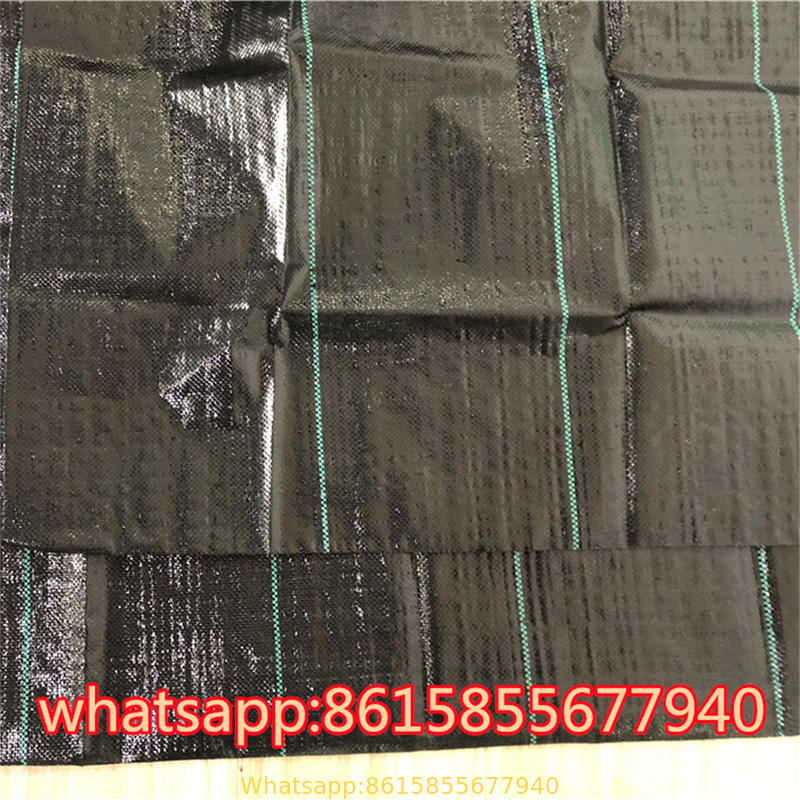 PP Weed Mat/Anti Weed Mat/Weed Barrier Fabric