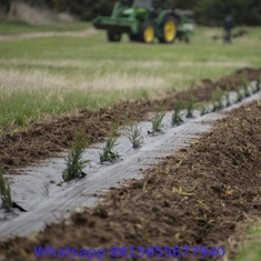 garden ground cover fabric / weed barrier mat / plastic pp anti weed agro weed control
