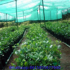 90gsm Plastic Anti UV Sun Shade Netting / Hdpe Shade Net for Agriculture Farms