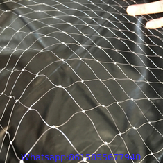 UV stabilized plastic agricultural anti bird netting for orchard/garden/fruit tree