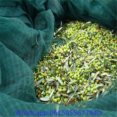 Plastic Green Olive Harvest Nets Supplier CY-050