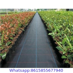 Factory Supply China High Quality Black PP Woven Weed Barrier/Weed Control Fabric
