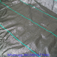 # Weed Block Fabric，Weed Mat，Anti Weed Fabric，Ground Cover Fabric，Weed Control Fabric，PE Anti Weed Fabric