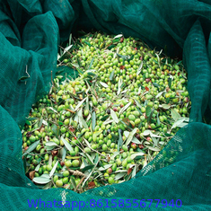 Olive Nets, Olive Harvest Nets for Sale