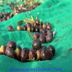 Olive Nets, Olive Harvest Nets for Sale