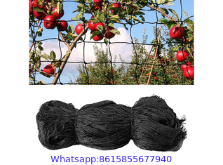 Fruit Tree Netting, Bird Netting For Fruit Trees