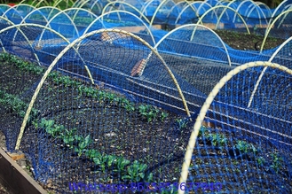 Fruit Tree Netting, Bird Netting For Fruit Trees