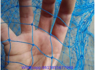 Durable Agricultural Anti-bird Net - Blue