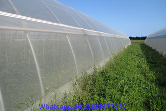 Farm Insect Netting, Crops Insect Netting