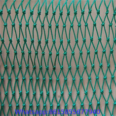 Fishing Nets - Landing Nets