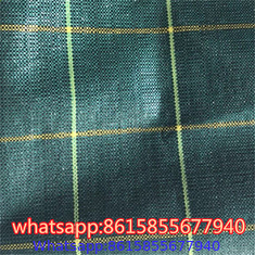 Ground Cover- Weed Mat Manufacturer from China