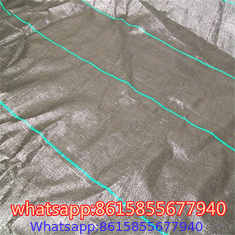 Ground Cover- Weed Mat Manufacturer from China