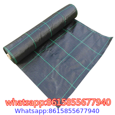 Black PP woven silt fence weed barrier fabric,3ft x 50ft anti grass agricultural weed control mat,garden ground cover we