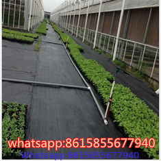 Black PP woven silt fence weed barrier fabric,3ft x 50ft anti grass agricultural weed control mat,garden ground cover we