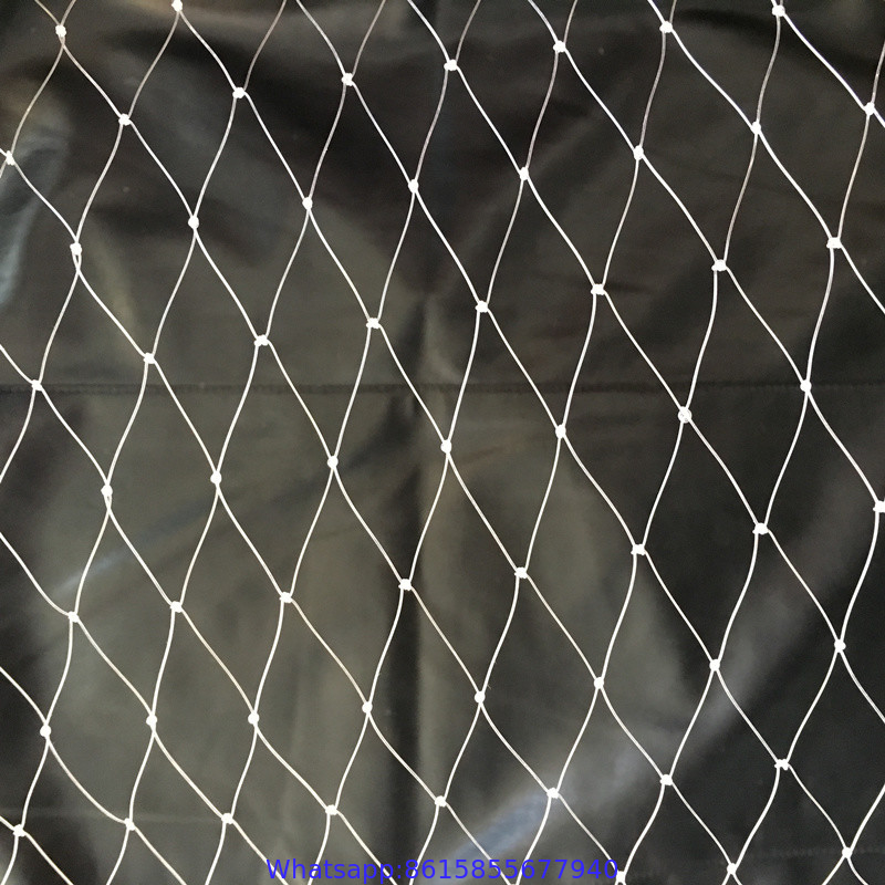 Anti bird netting manufacturer for catching birds(OEM) /pigeons control