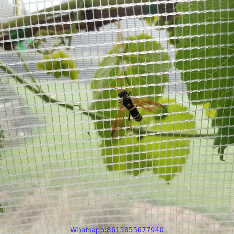 PE mesh 40 virgin hdpe greenhouse anti insect net for agricultural insect proof