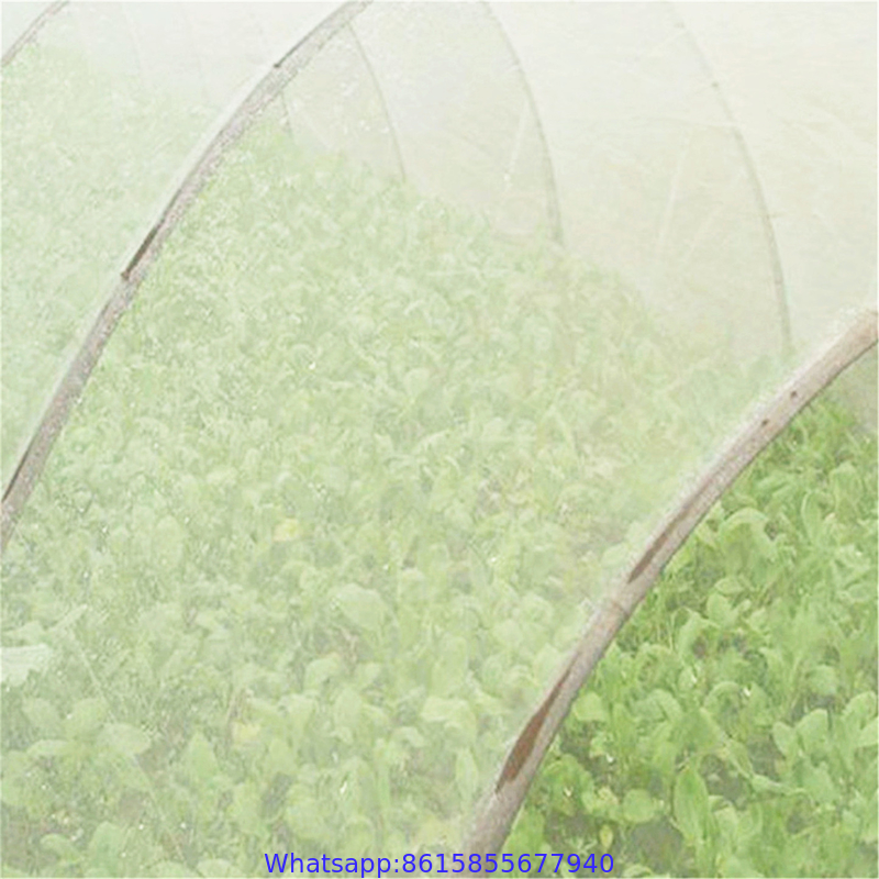 White Nylon Net Fruit Tree Cover Diamond Mesh Anti UV Anti Insect Bird