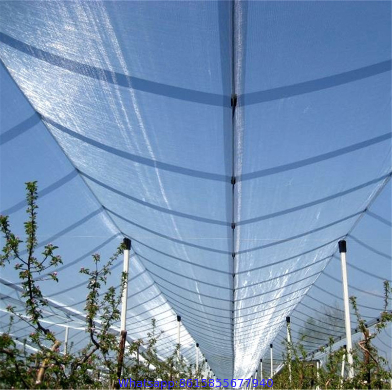 UV treated 100% virgin HDPE anti hail net