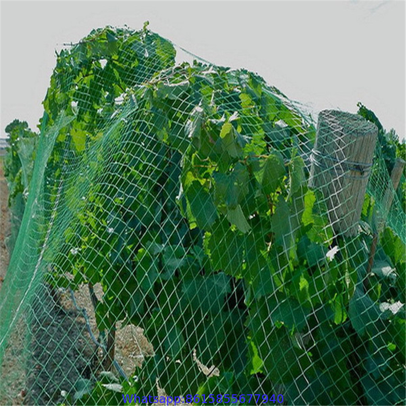 Newest Design Outdoor Customized Bird Mist Nets