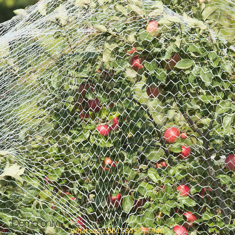 Agriculture Anti-Bird Net in 2cm or 2.5mm Hole Size