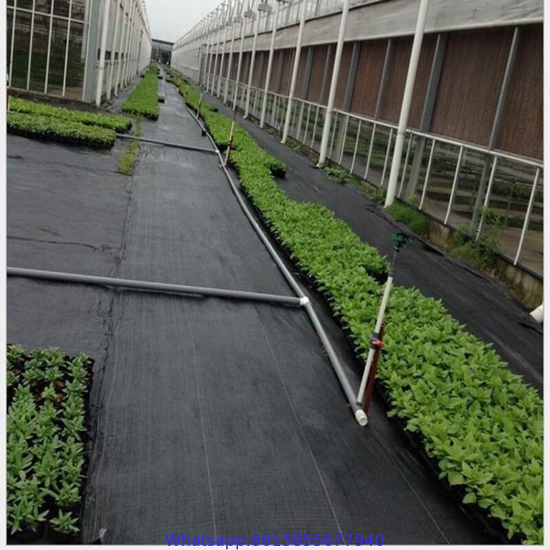 Agricultural Plastic Woven Mulch Weedmat / Weed Control Mat Product Name and Agriculture Usage Usage Weed Control Mat